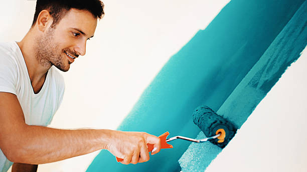 Best Industrial Mold Remediation  in Sumner, IL